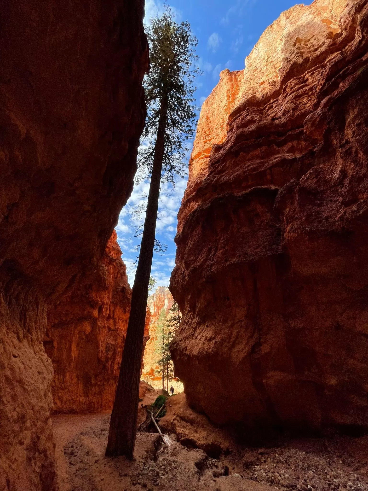 Tour America parchi dell'ovest in camper agosto 2024